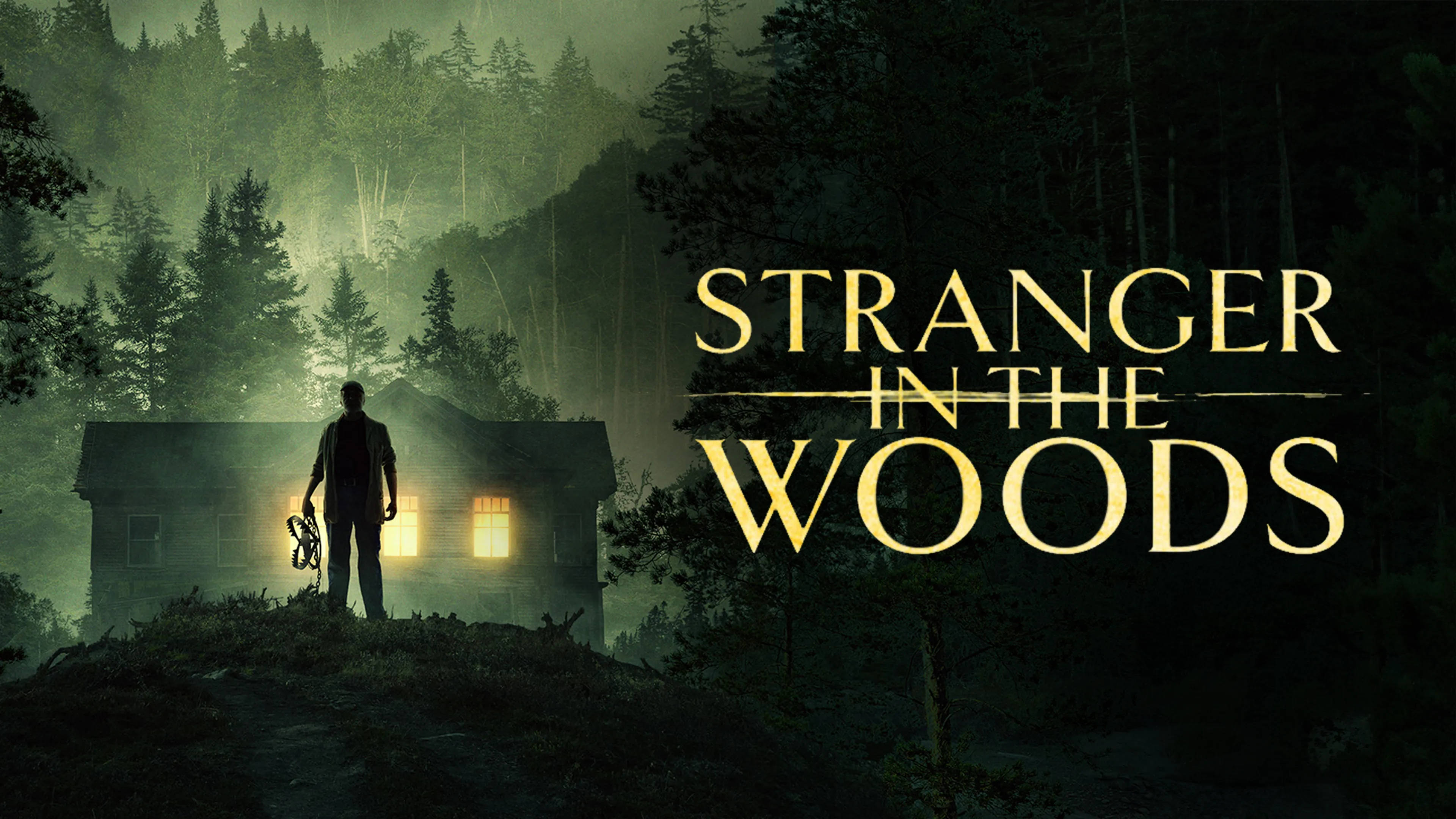 Stranger in the Woods poster